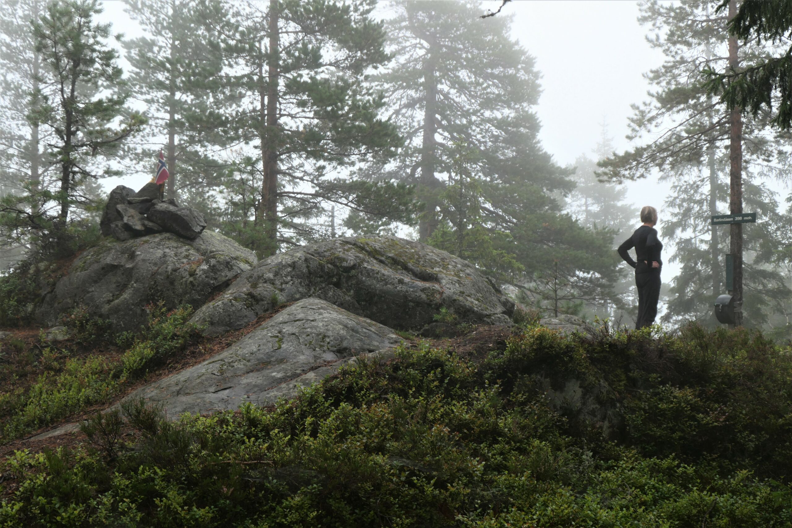 Barlindåsen er den høyeste toppen i Østmarka. Her inne kan sansene fråtse i opplevelser.