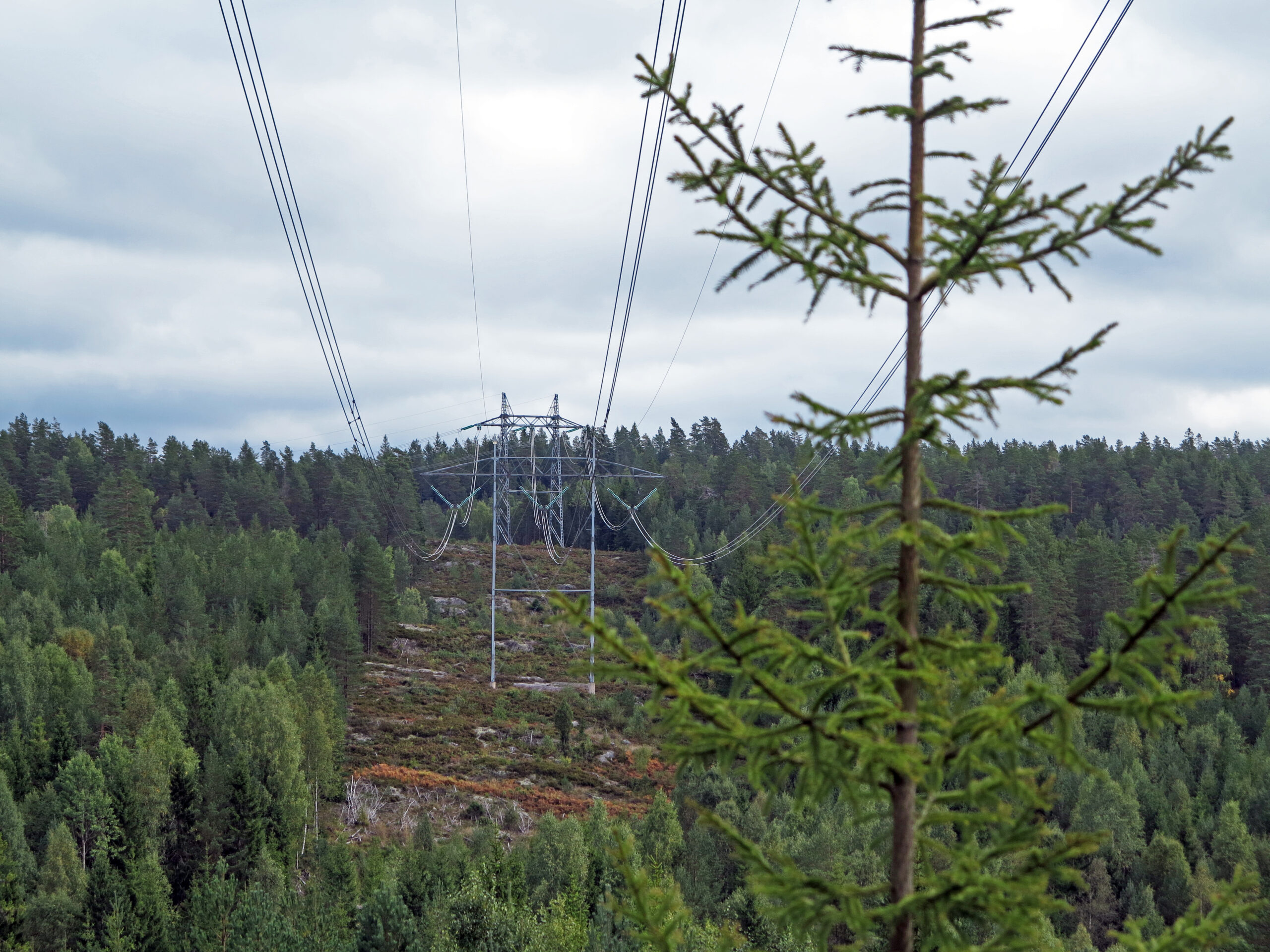 Vil du ha flere kraftlinjer som denne, over Spinneren? Markaloven beskytter ikke mot slike, men det gjør nasjonalparkvernet. Foto: Bjarne Røsjø.