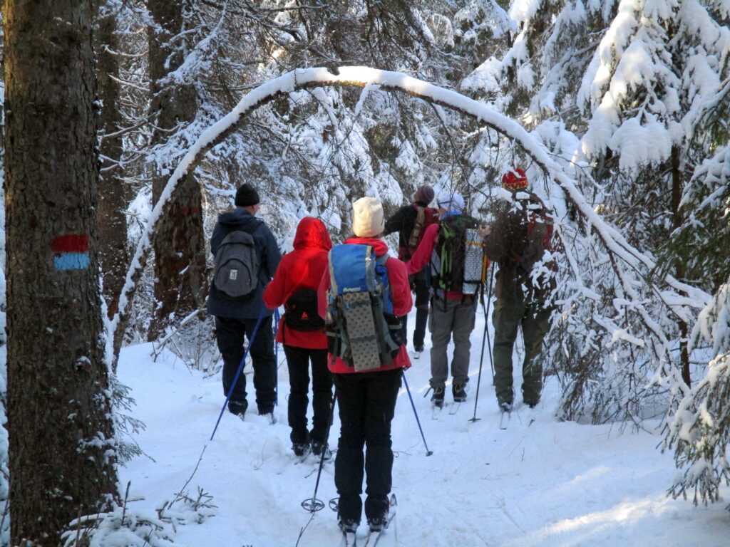 Mellom Eriksvann og Sør-Elvåga.