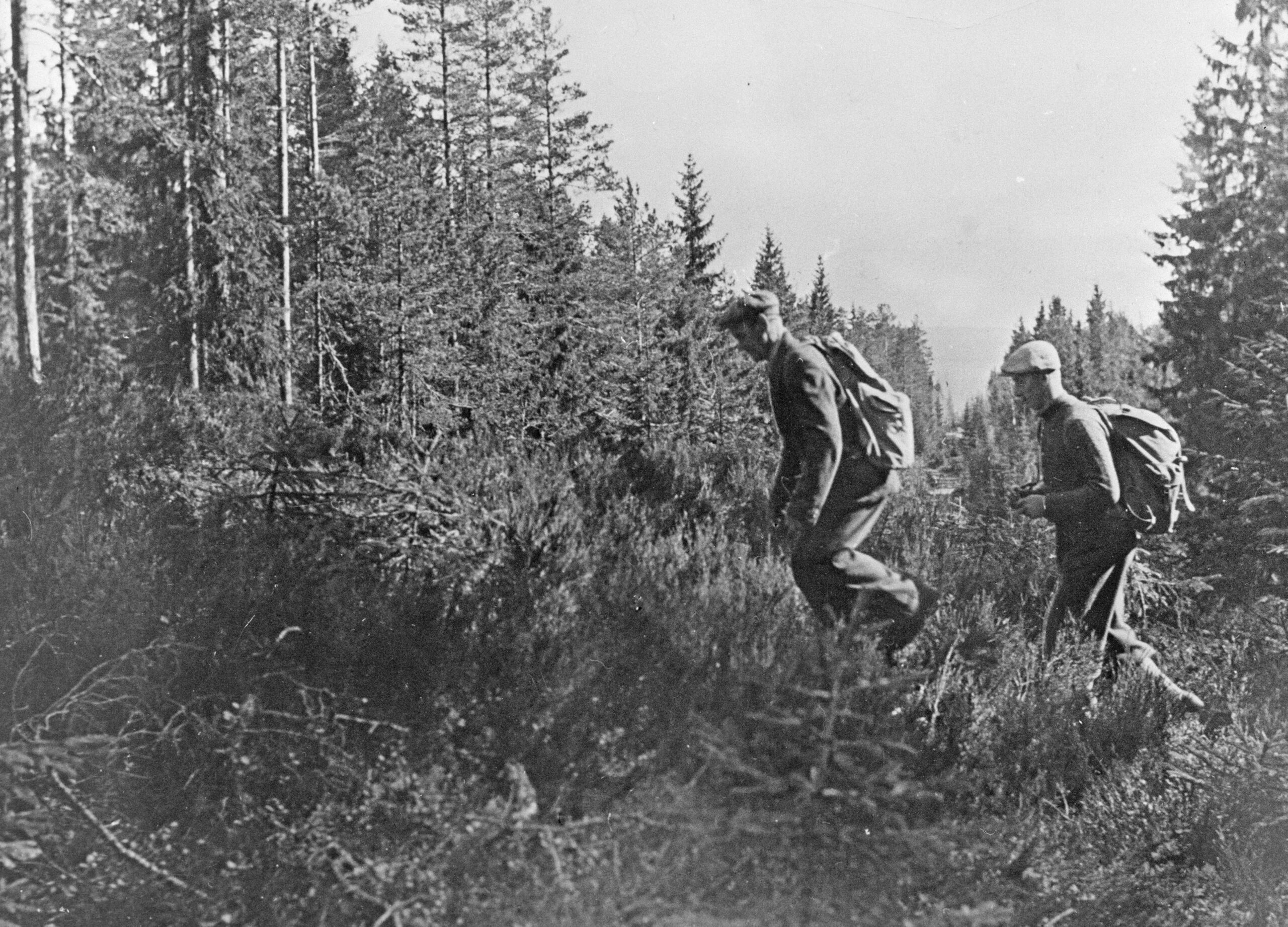 Bildet er tatt idet noen flyktninger passerer den brede gaten som er hugget i skogen for å markere grensen.