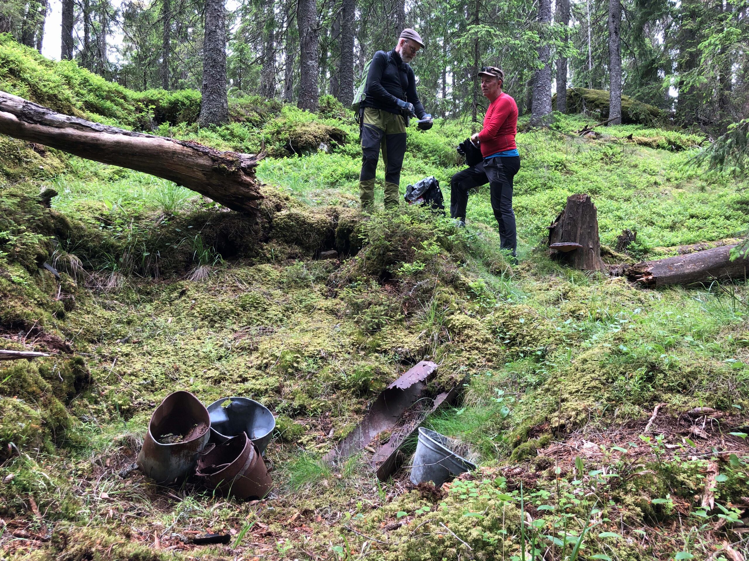 En av koierestene ved Auretjern, 2022. Man kan fortsatt se rester etter oppmuringene («kjelleren»). Foto: Lars Rogstad