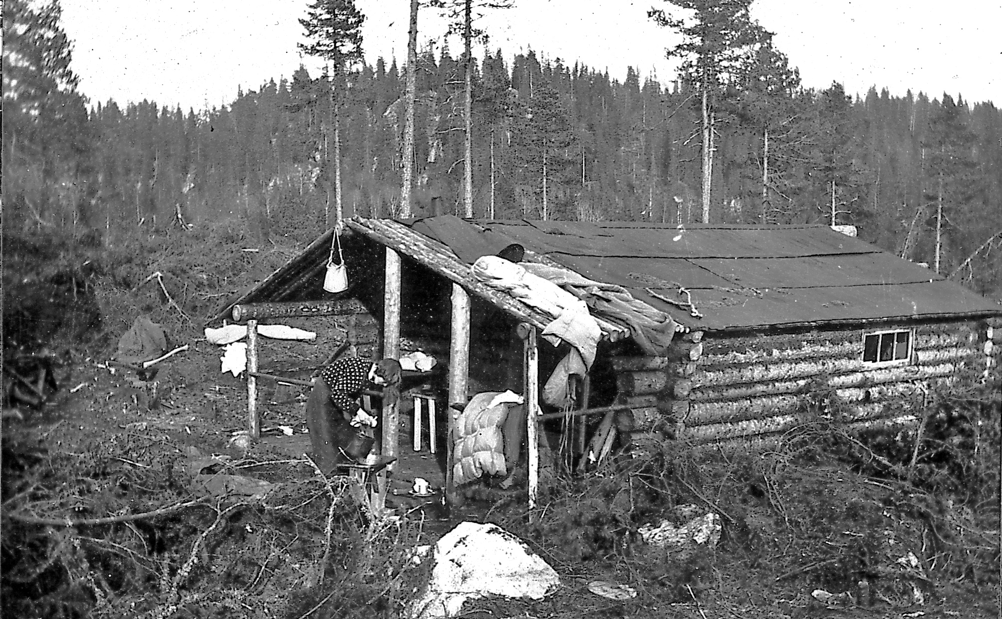 Milorgkoia ved Skålsjøen.