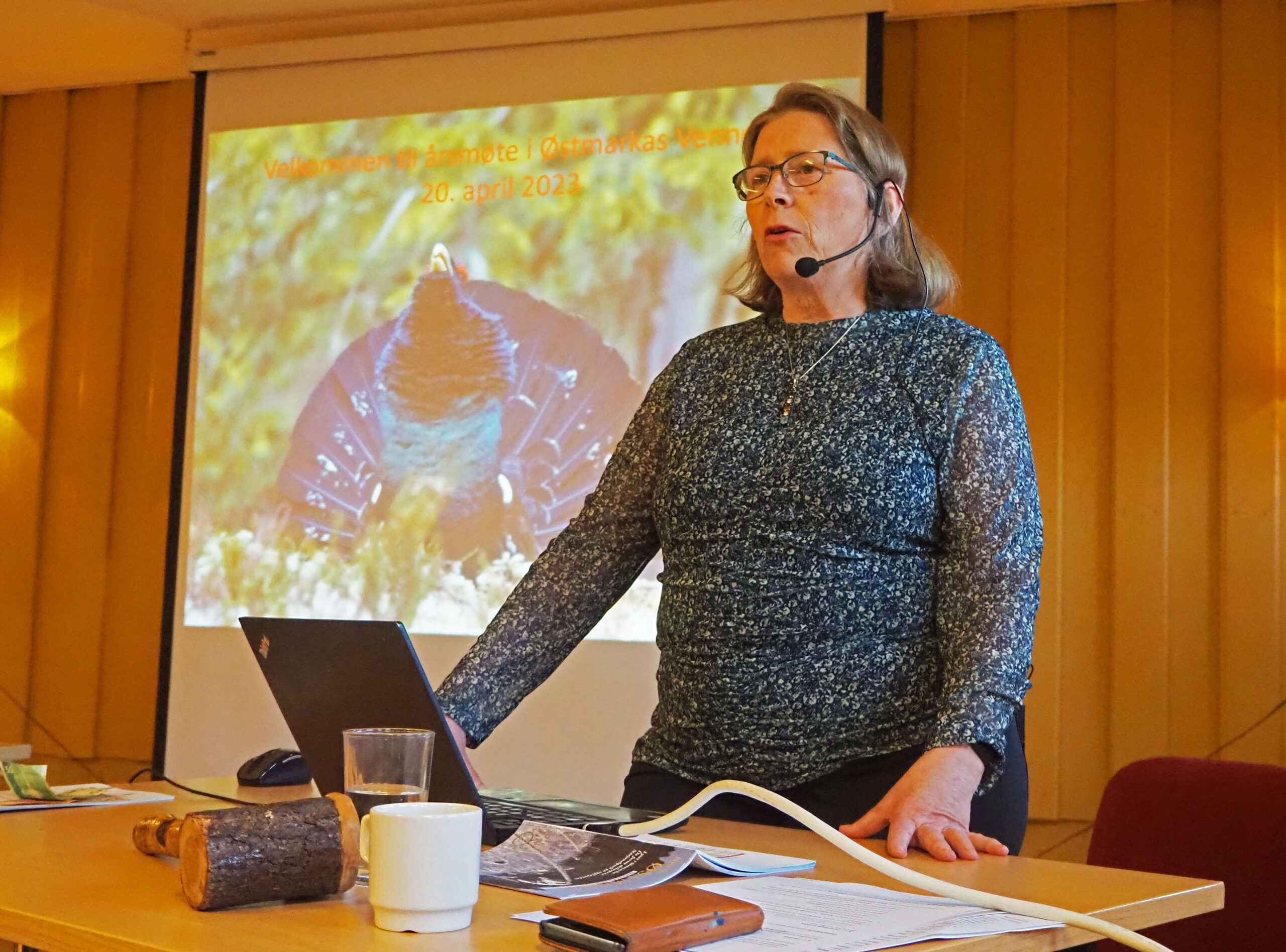 Helga Gunnarsdóttir presenterte årsberetningen og ble enstemmig gjenvalgt som styreleder.
