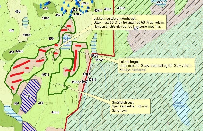 Hogsten som er merket 438.1 ligger nær stien sørover mot Vesle Tonekollen, like vest for grensen mot Østmarka naturreservat. Her lever tre av de rødlistede billeartene. De tre andre, inkludert den utrydningstruede billen Corticeus sucularis, lever i bestandet merket 457.1, ifølge NOA. Kart fra Losby Bruk.