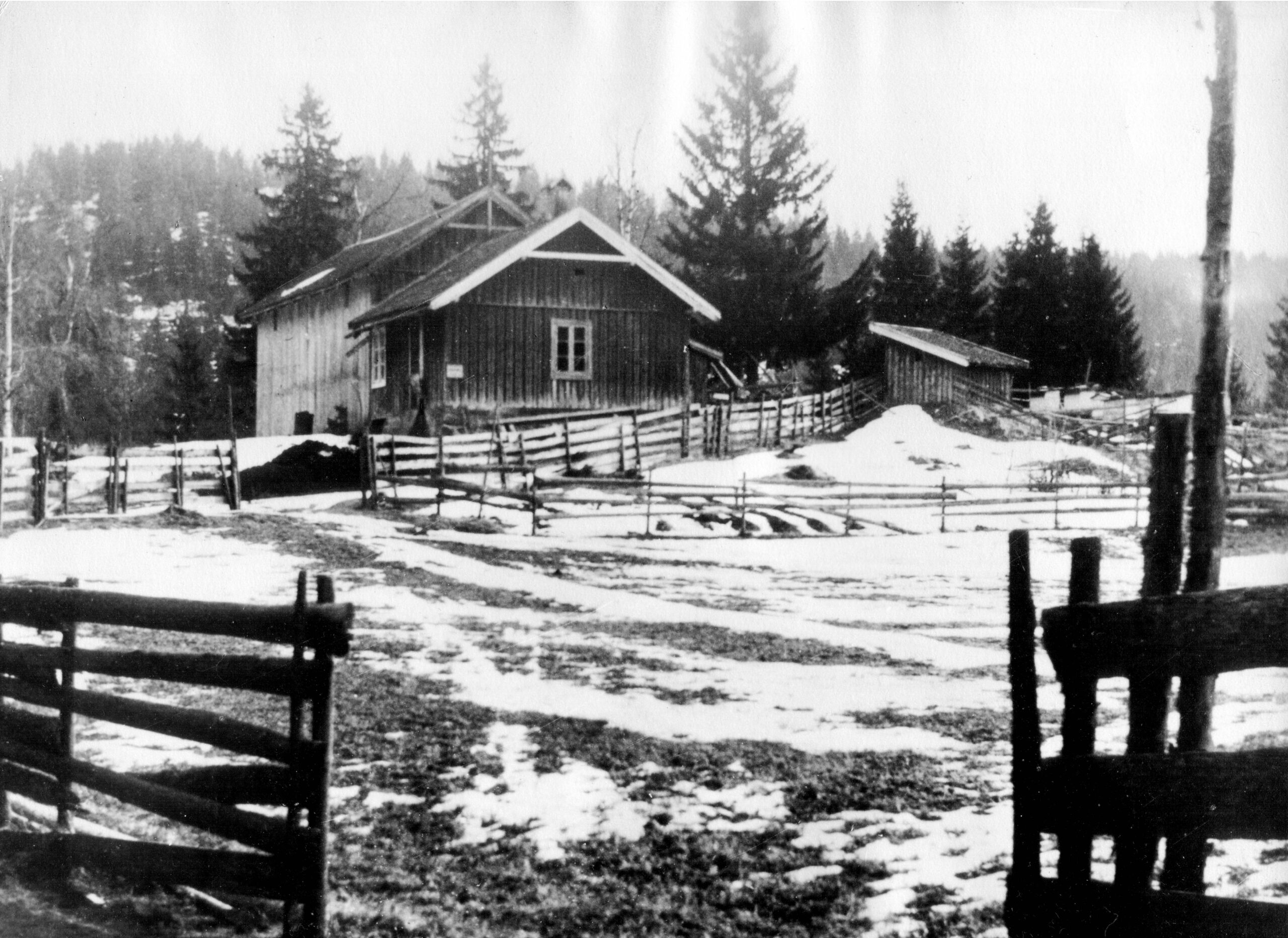 Her sees fjøset, låven, kjelleren og bikubene på Mariholtet. Bildet er tatt siste våren familien Stang bodde på Mariholtet. Den lange skogkledte åsen i bakgrunnen ligger i Lørenskog, altså på andre siden av Elvåga.