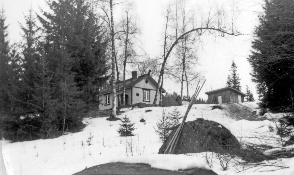 «Hytta» (bolighuset vårt) sett fra vannkanten ved Mariholtvika.