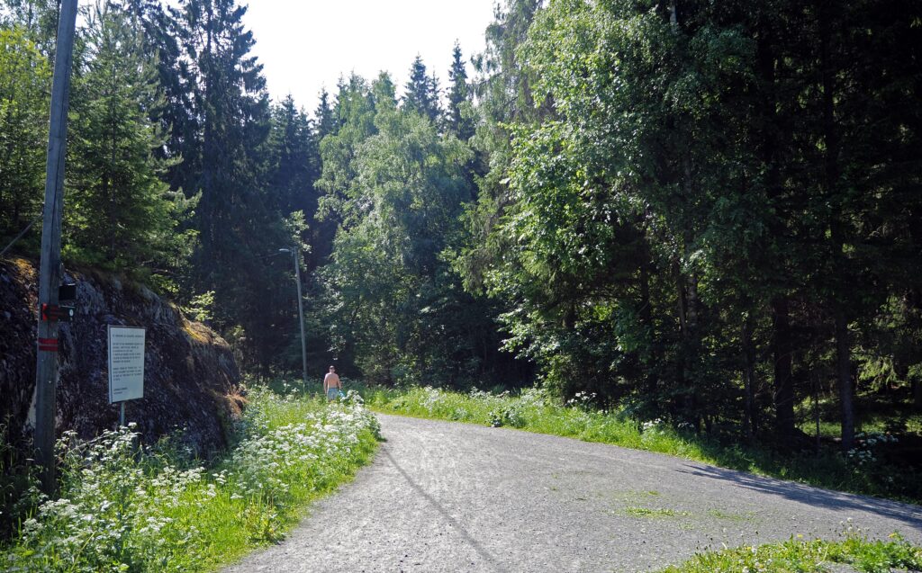 OBOS BBL vil flatehogge 100 dekar fordelt på ni bestander. Ett av bestandene ligger vest for og inntil turveien fra Ekerud mot Lintjern (til høyre i bildet). Foto: Østmarkas Venner.