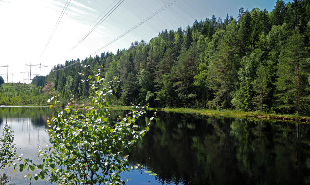 OBOS vil også hogge i åsen vest for Lintjern og kraftlinja. Foto: Østmarkas Venner