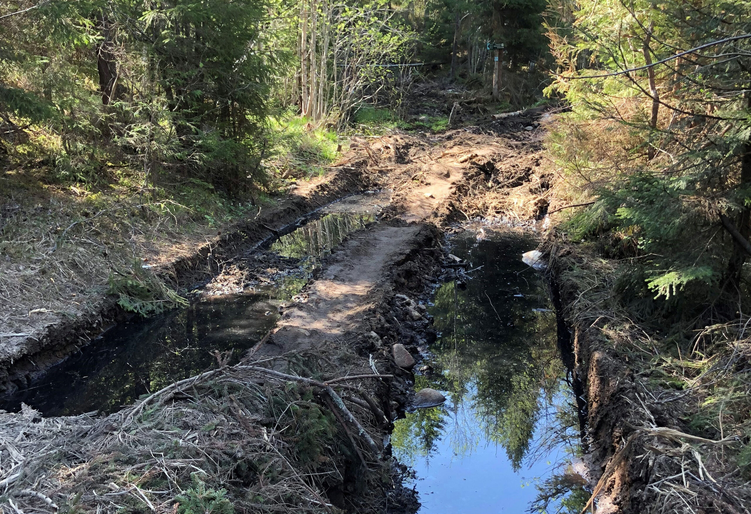 Slik så det ut i Brudalen i midten av mai, før ØV sendte en skarp klage til Landbrukskontoret. Foto: Privat