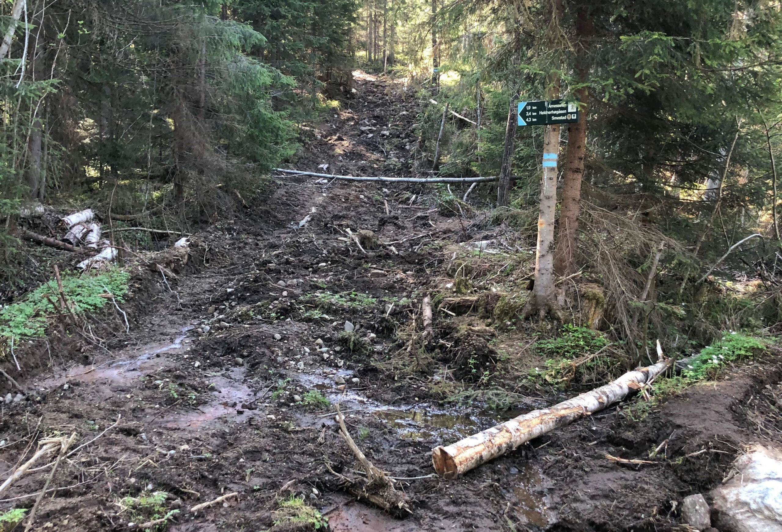 Dette bildet fra midten av mai viser at utkjøringen av tømmer gjennom Brudalen også hadde skadet blåstien. Foto: Privat.