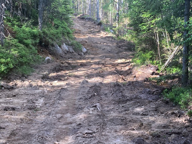 Slik så det ut i Brudalen 12. juni, etter at oppryddingen så smått hadde begynt. Foto: Østmarkas Venner.