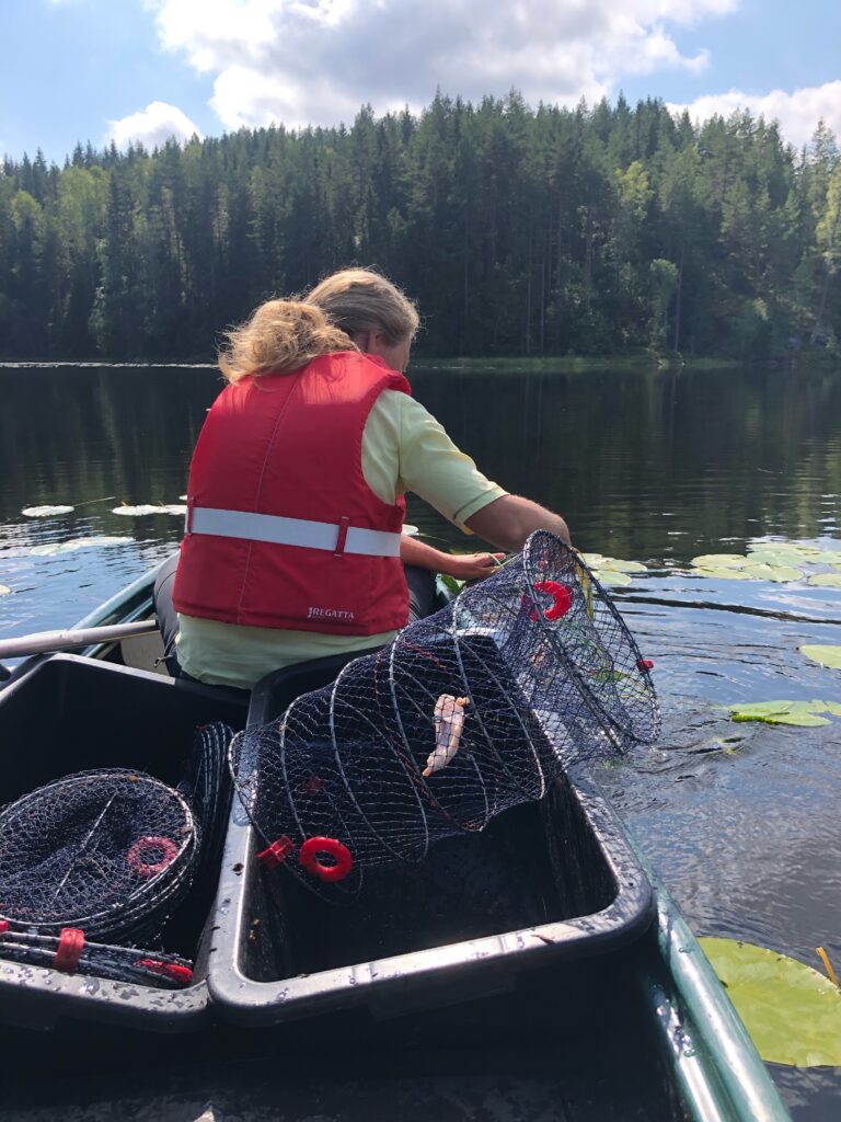 I Mønevann og de andre innsjøene som ble undersøkt, satte konsulentene ut lenker med fem-seks teiner fra båt. Foto: Johan Bergerud, Utmarksforvaltningen