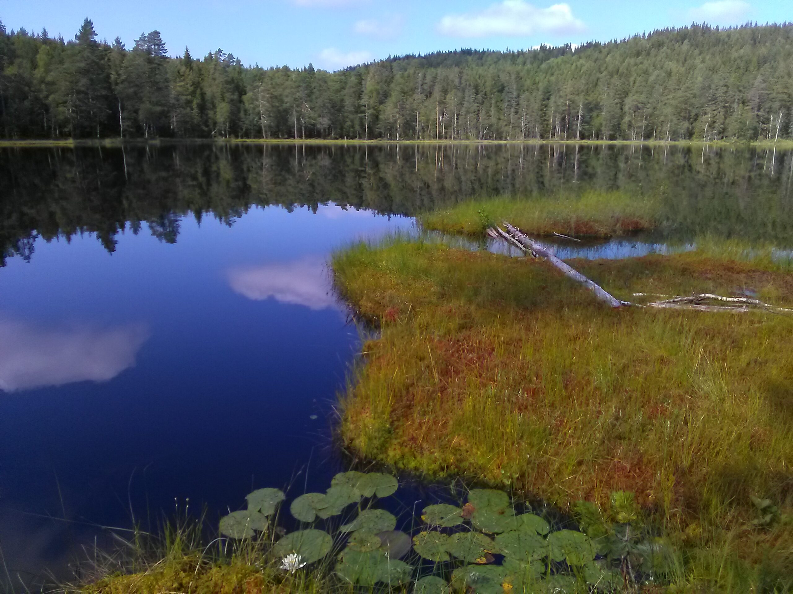 «En innsjø er landskapets mest skjønne og uttrykksfulle trekk», ifølge Thoreau. Her er vi ved Endtjernet om sommeren.