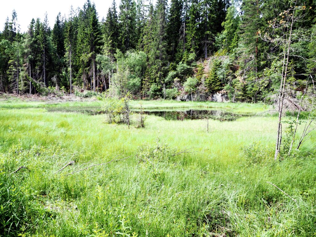 Fjerdingbyputten skal legges nesten fem meter under vann, ifølge reguleringsplanen. Foto: Bjarne Røsjø