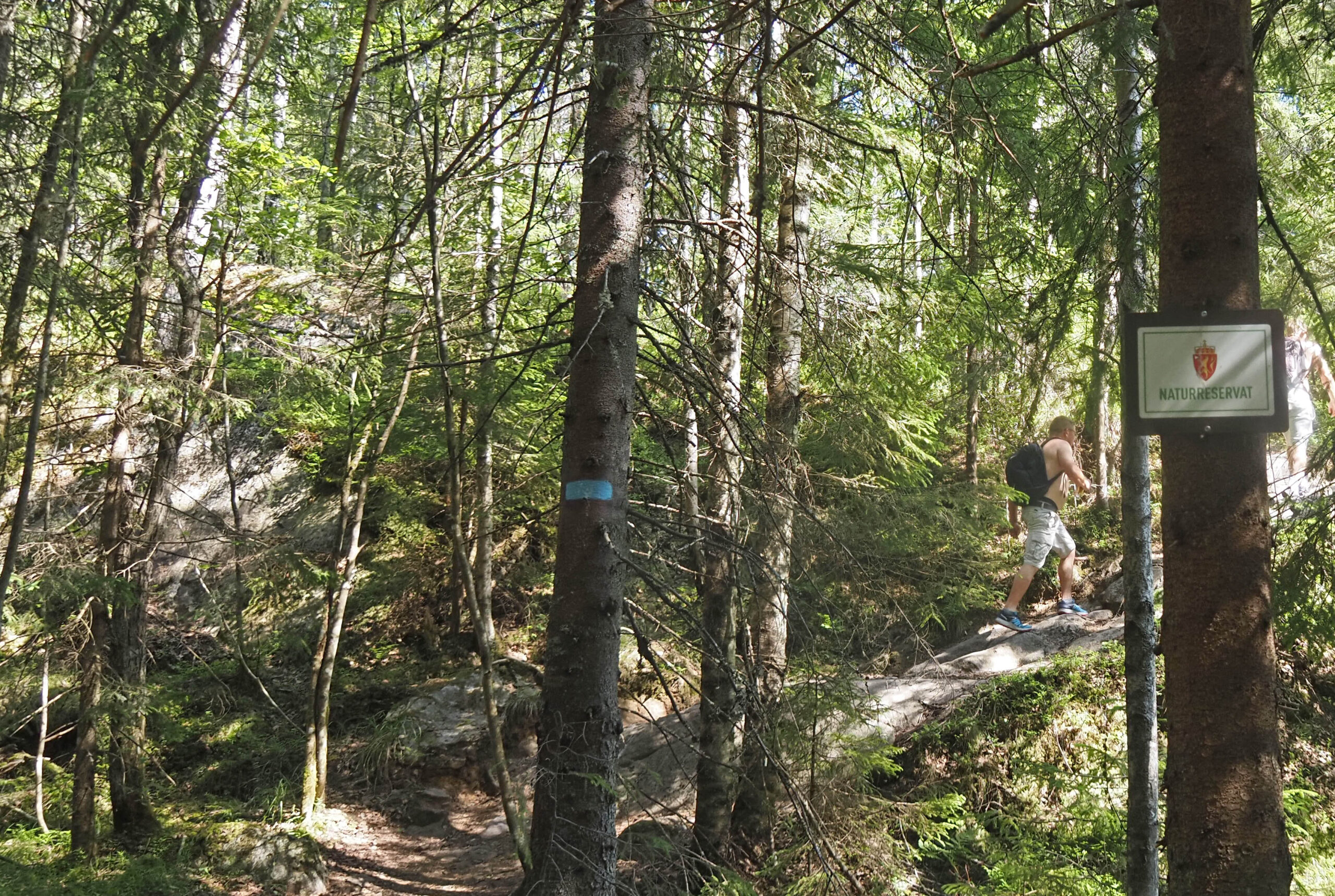 I dag viser blåstiene vei til både kjente og mer bortgjemte steder i Østmarka. Her passerer vi grensen til Ramstadslottet naturreservat, ikke så langt fra Blåtjerngrana. Foto: Bjarne Røsjø.