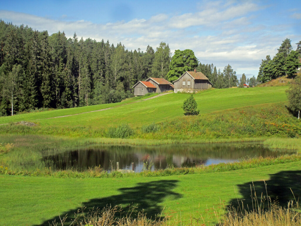 Møllerstua ved Børter