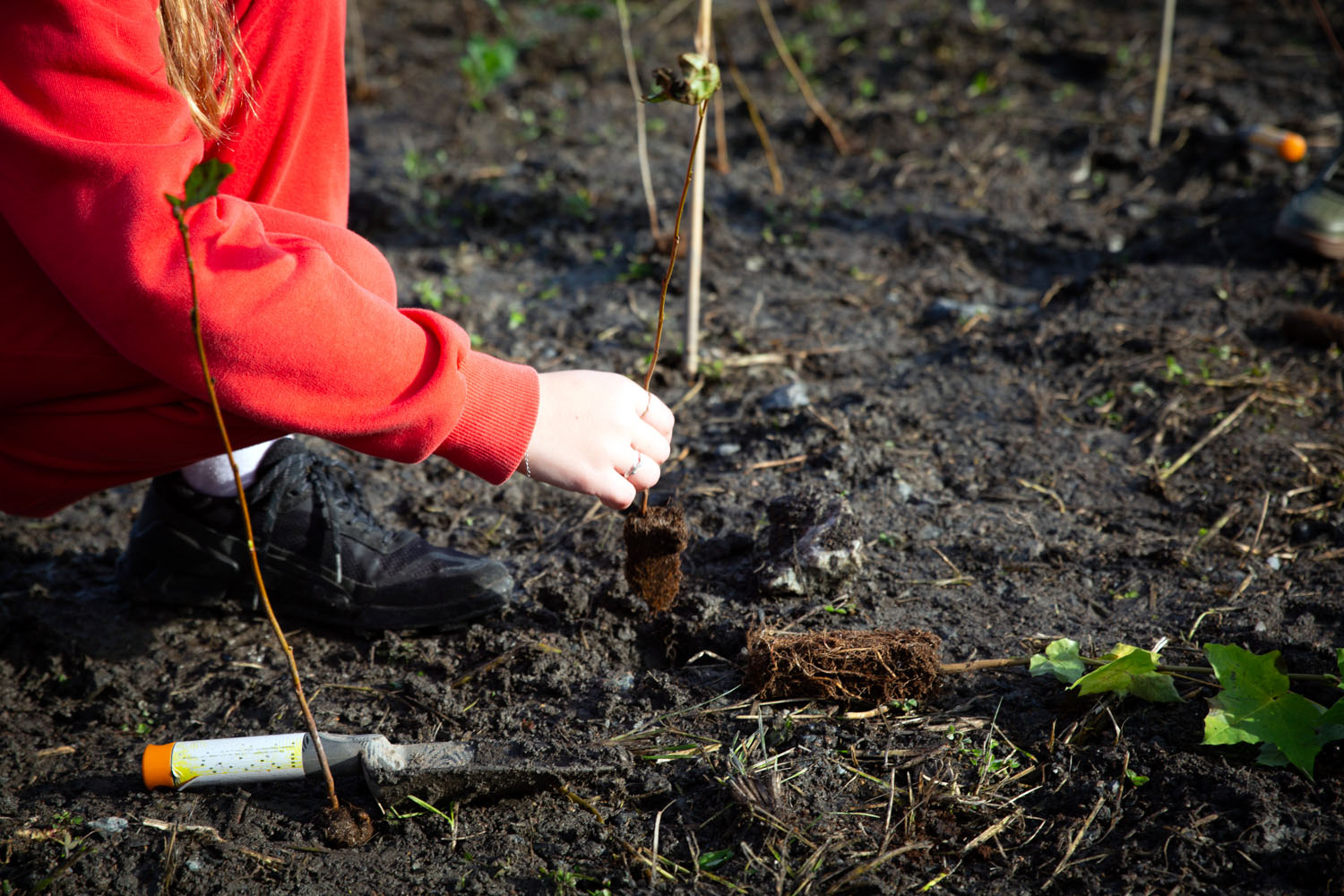 Elever fra Godlia og Trasop skoler plantet de fleste av om lag 3000 spirer til nye trær.
