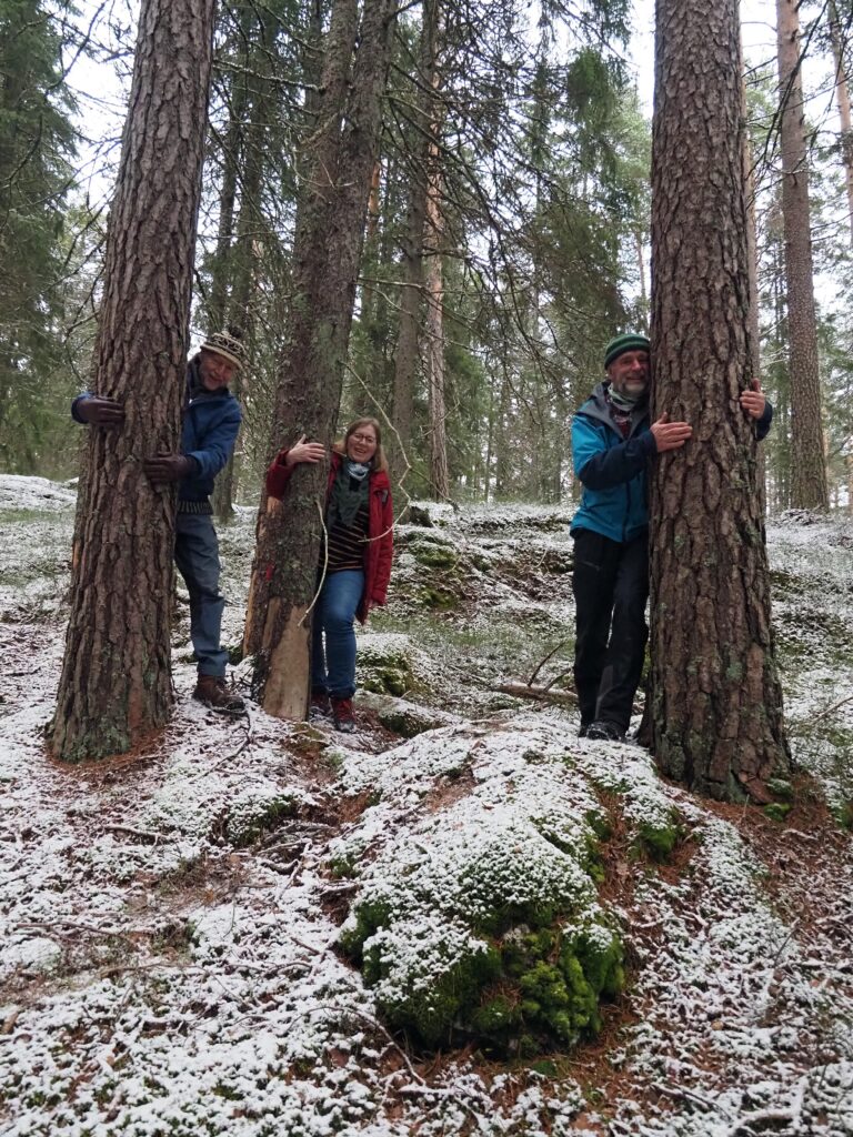 Denne flotte naturen kan du oppleve bare noen hundre meter fra Sandbakken, inne i Norges nyeste ot mest kortreiste nasjonalpark. Ikke rart at de tre Østmarka-vennene får lyst til å gi trærne en klem.