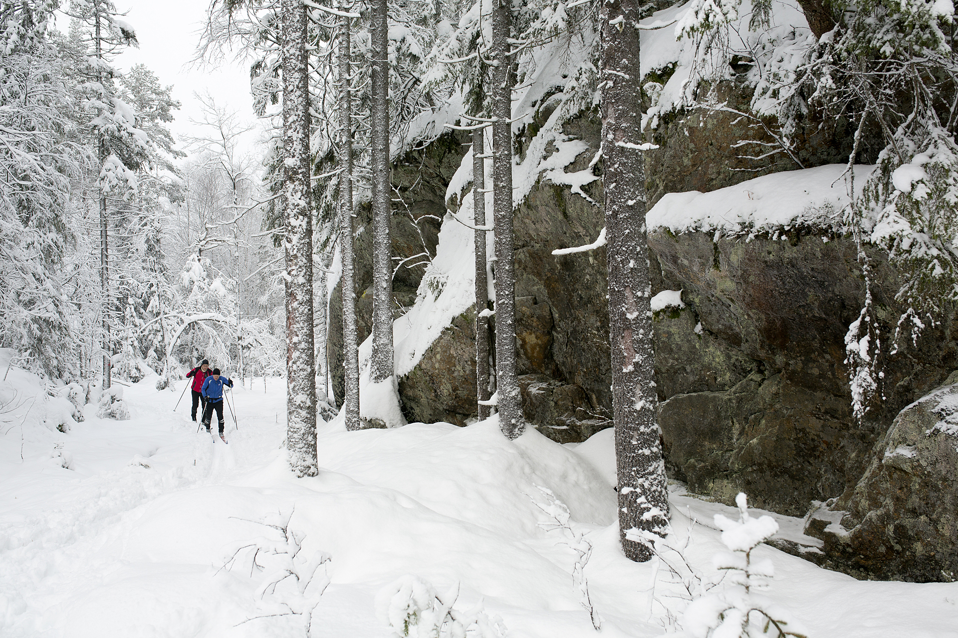 Svartdalen i Østmarka nasjonalpark er vill, vakker og særpreget til alle årstider. Foto: Espen Bratlie.