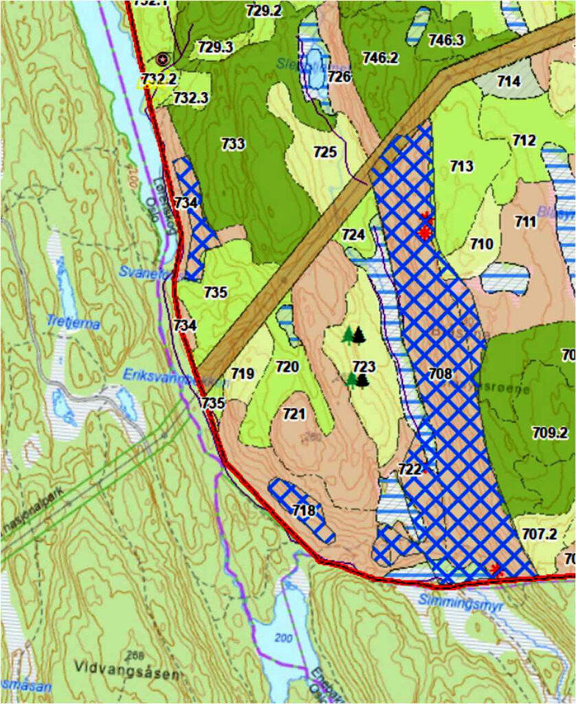 Det foreslåtte verneområdet grenser til Østmarka nasjonalpark i sør og vest, og mot en kraftgate i nord. Den østlige grensen går over Blåsyna-høyden, og den sørlige grensen går like ved Simmingsmyr. De skraverte områdene i kartet er nøkkelbiotoper, mens de rosa områdene er gammelskog. Det er også noe ungskog i området; dette er markert med lysegul farge. Kart: Losby Bruk.