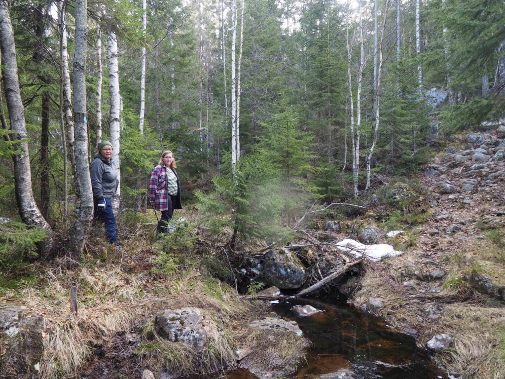 Den vesle bekken øst for Skråbakkhølet skal legges i rør og forsvinner under en fylling på to til fire meters høyde.