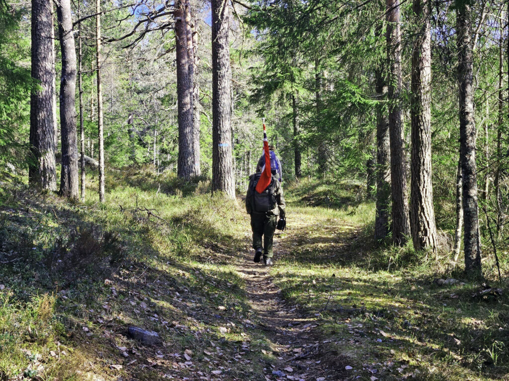 Kommunestyret i Lørenskog sa 15. mai «nei» til Dammyrveien, som blant annet ville forvandlet blåstien over Svarvestolsbrenna til en fire meter bred skogsbilvei med grøfter og 20 meter flatehogst på hver side. Foto: Helga Gunnarsdóttir.