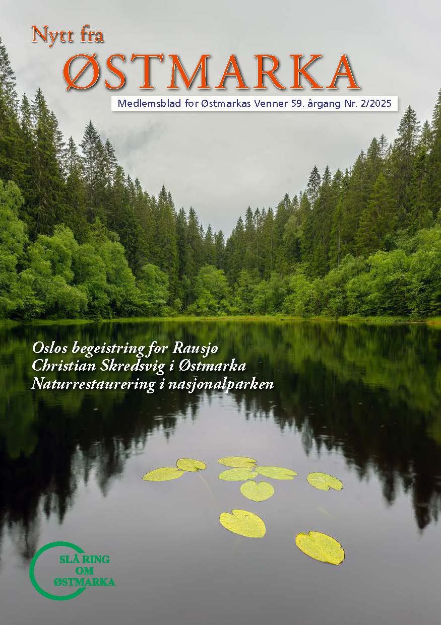 NFO2025-2.pdf