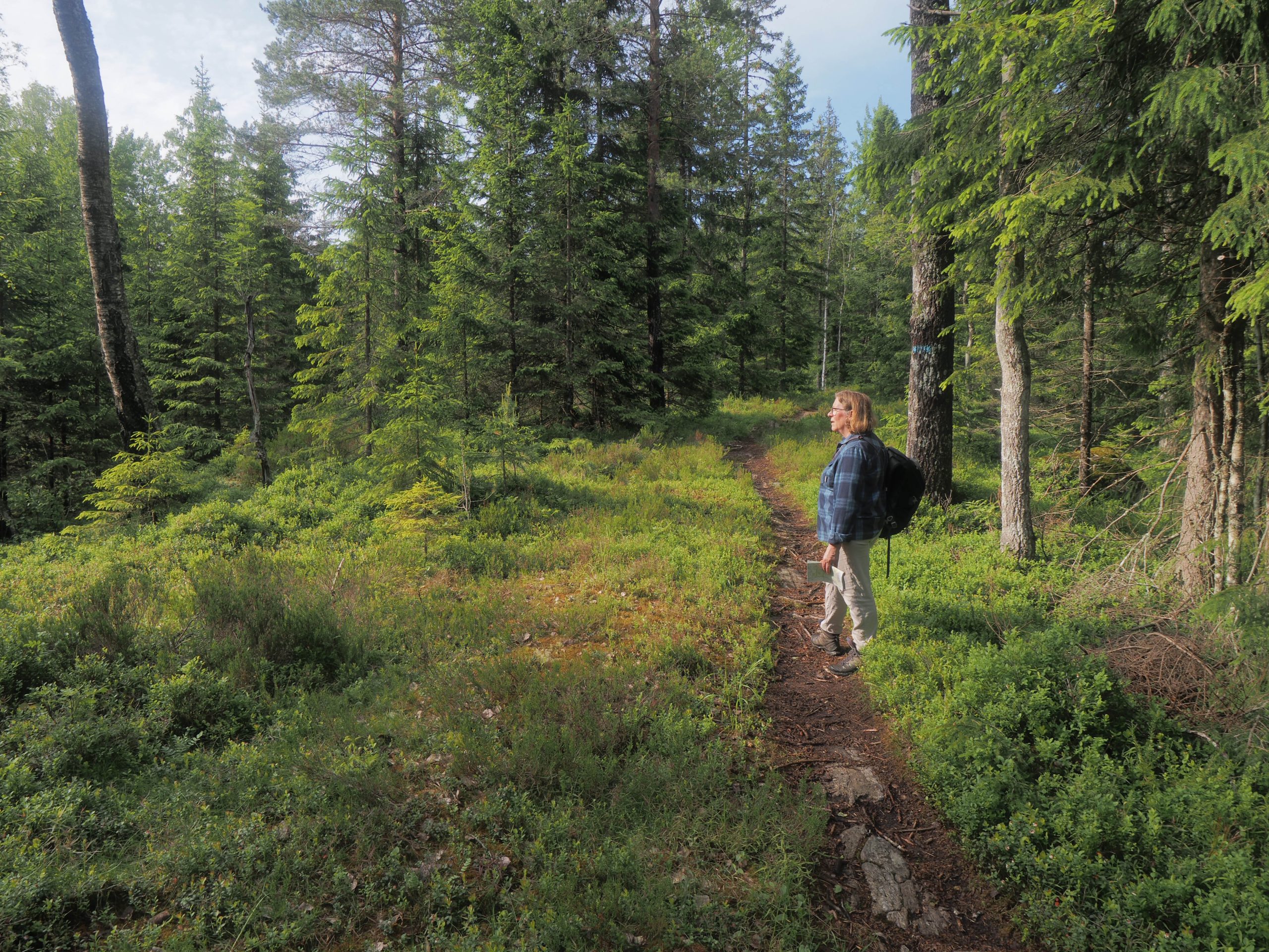 Helga Gunnarsdóttir ser håpet i det fjerne på Svarvestolsbrenna, underveis for å møte Natur og Ungdom .