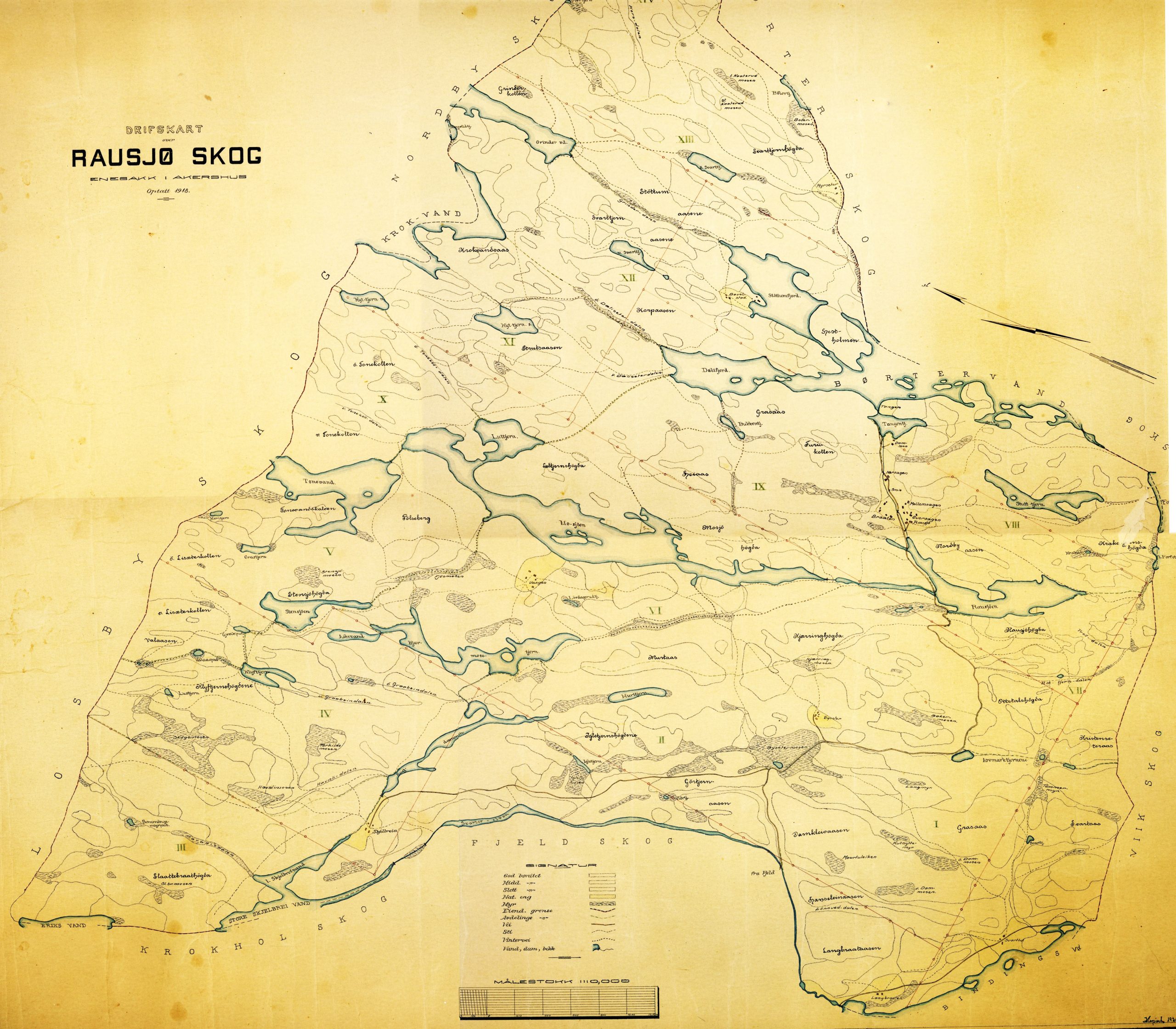Dette driftskartet fra 1918 viser grensene for Rausjø-eiendommen. OBS: Nord er til venstre! I vest (nederst) grenser området til Krokhol- og Fjeld-skogene, mens området støter mot Losbyskogen og Nordby i nord. I øst grenser området til Børterskogen, og i sør grenser området til Vik-eiendommen. En oppdemming har ført til at Askevann og de tre Kjerrmåsatjerna henger sammen, og en annen demning ved Skjelbreia har skapt den store Sagdammen, som strekker seg langt sørøstover mot Morttjernet.