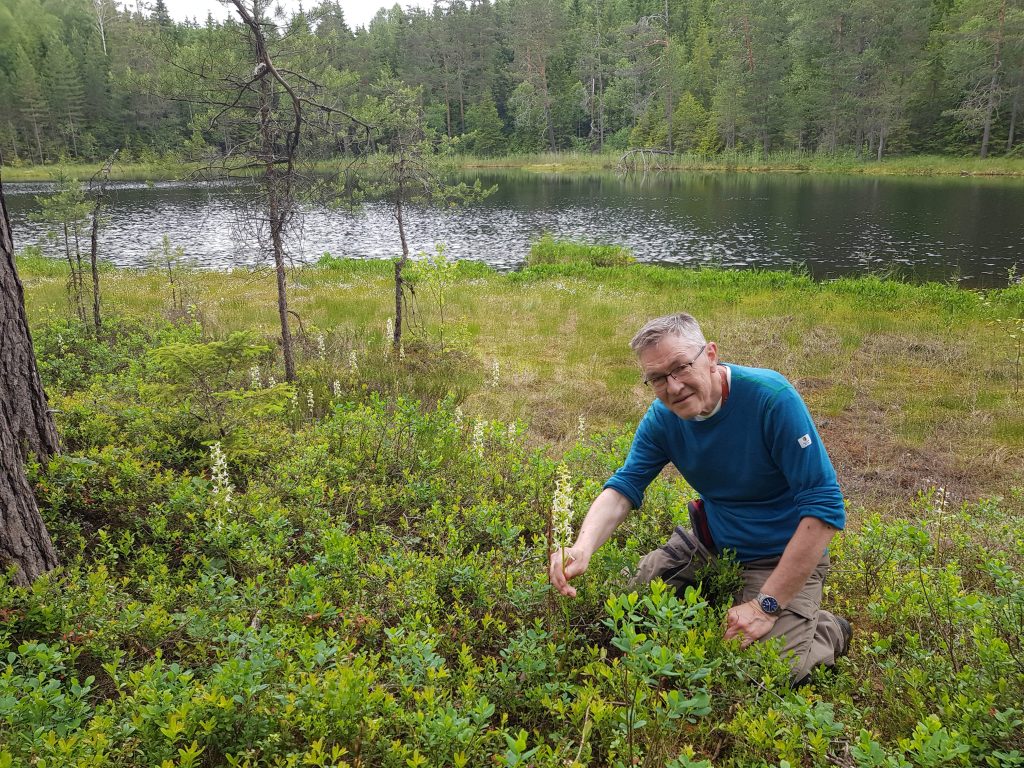 Geir Arne Evje ved Biritjernet, på grensa mellom Lørenskog og Rælingen, i juni 2025. Her vokste det nesten 100 vakre og velduftende nattfioler, som ikke var registrert fra før. Foto: Rolf Haxthow.