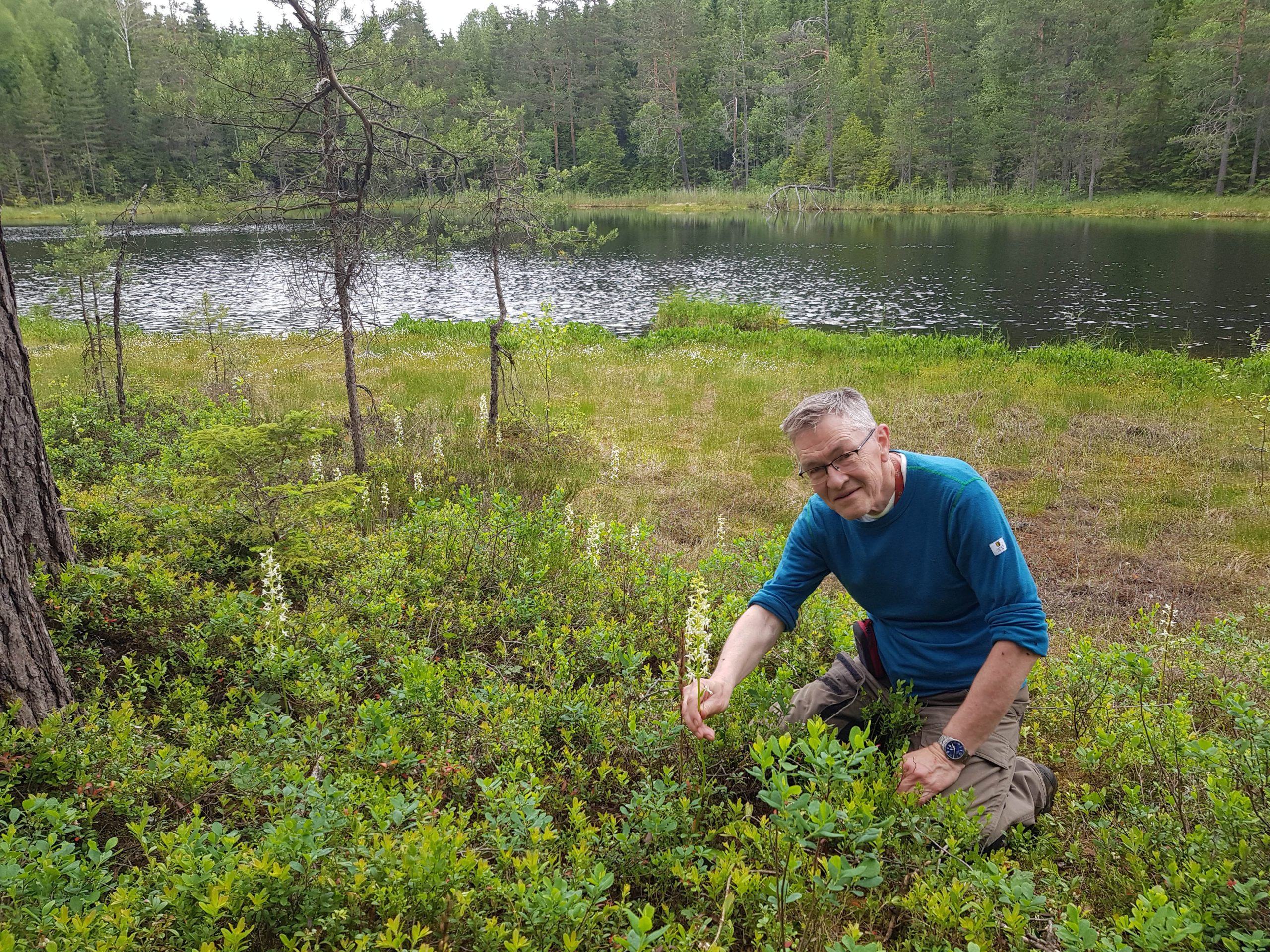 Geir Arne Evje ved Biritjernet, på grensa mellom Lørenskog og Rælingen, i juni 2025. Her vokste det nesten 100 vakre og velduftende nattfioler, som ikke var registrert fra før. Foto: Rolf Haxthow.