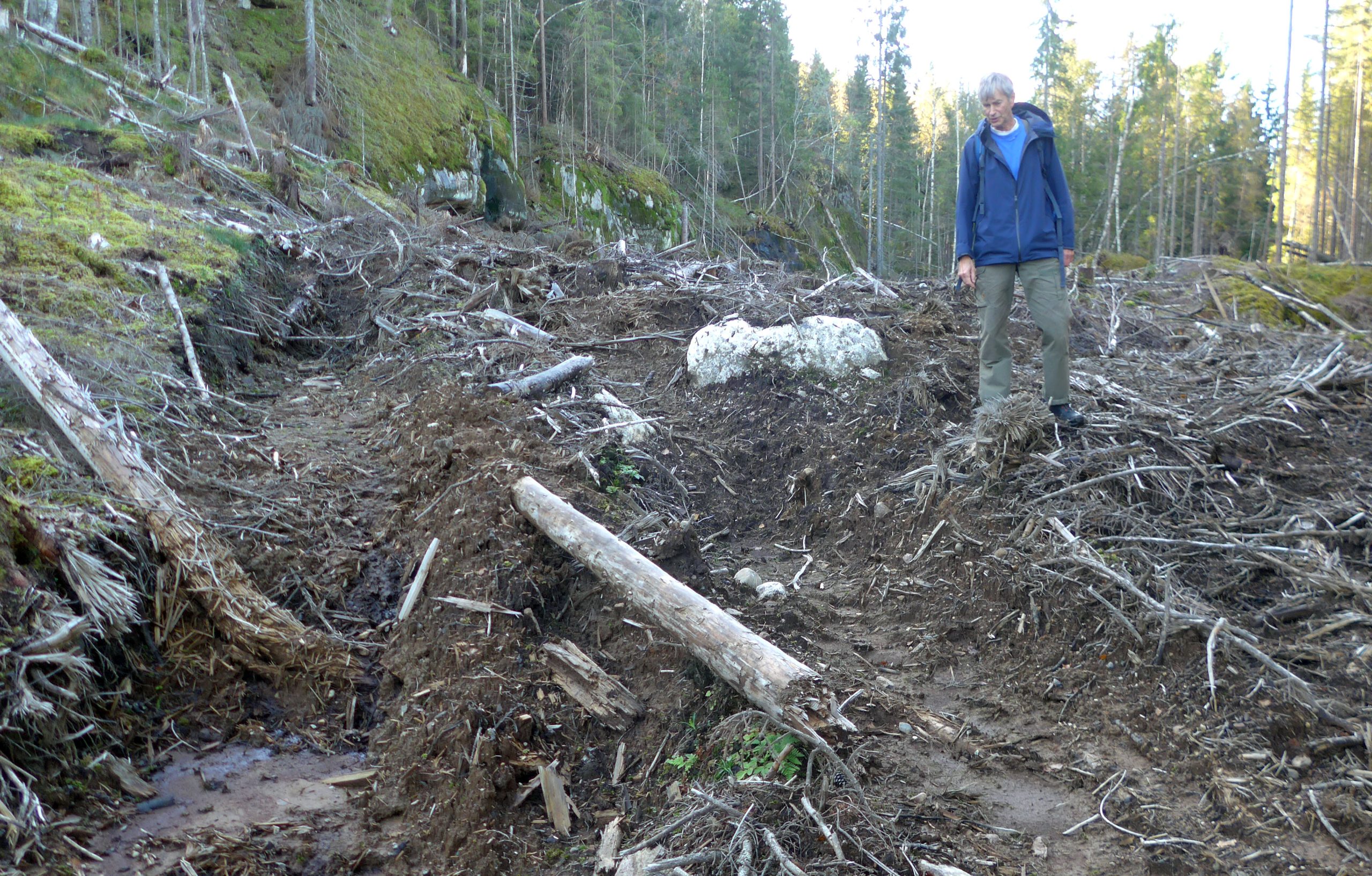 Øyvind Pettersen på befaring i Losbyskogen ved Askeslora høsten 2023. Foto: Bjarne Røsjø.
