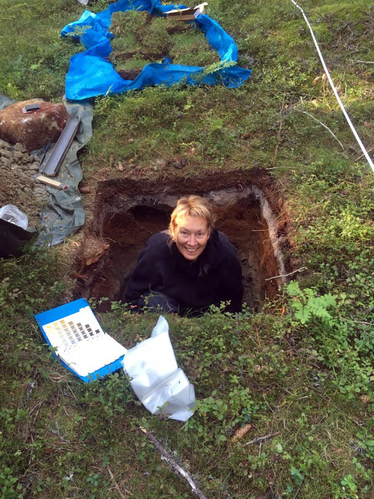 Det er ikke lett å få gode data på karbonmengden i jorda i skogen. Man må blant annet få oversikt over mengden stein og foreta mange gjentatte målinger på hver prøveflate. Foto: Rieke Lo Madsen, EcoForest.