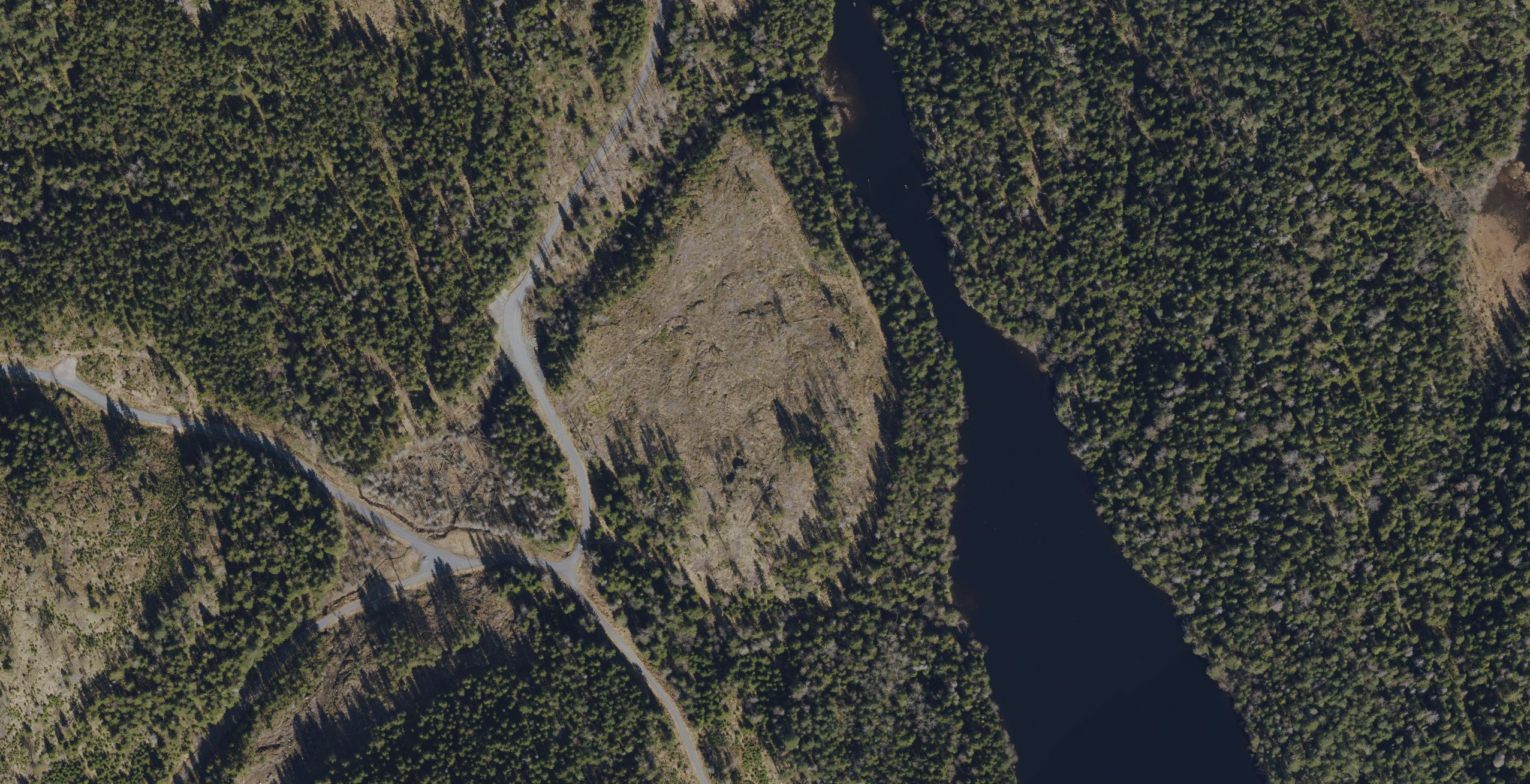 Flatehogsten nordøst for Askeslora, sett fra flyfoto. Foto: Fra Norgeskart.no