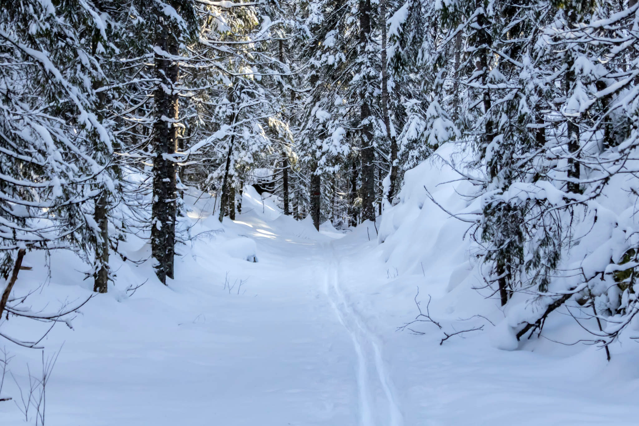 Dammyrveien i februar 2026: Nå sier Sivilombudet at Lørenskogs kommunestyre var i sin fulle rett til å si «nei» til Losby Bruks veisøknad. Foto: Gunnar Kagge.