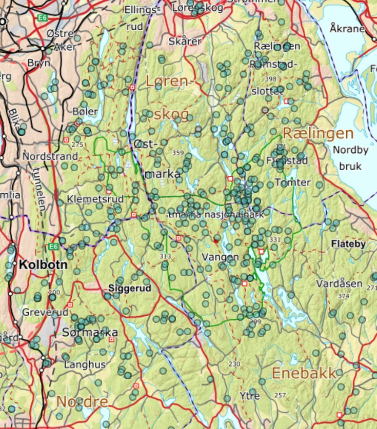 Bukkeblad er vanlig i Østmarka og i hele Norge.