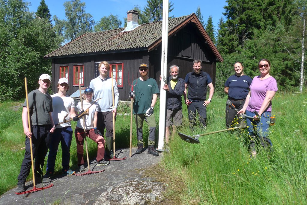 Fra venstre: De fem Enebakk-ungdommene Henrik Røst Solberg, Jonatan Bjørkan Orstad, Margrethe Engenes Birkeland, Felix Skare og Torstein Bratli har sommerjobb med å rydde kulturlandskap i Rausjø. Johan Ellingsen fra Østmarkas Venner, Øystein Skjær Kolseth og Ylva Friberg fra Bymiljøetaten i Oslo samt nasjonalparkforvalteren Maylinn Stomperud er også med på jobben. Foto: Bjarne Røsjø.