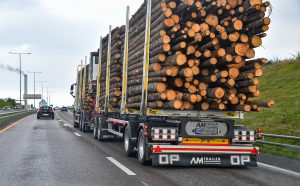 Losby Bruk vil bygge Dammyrveien for å kjøre gjennom den kuperte delen av Østmarka øst for Elvåga med 24 meter lange tømmertrailere, som den på bildet. Foto: Knut Opeide/Samfoto/NTB.