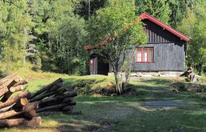 Før Enebakk-ungdommene begynte å rydde i området, vokste det et svært bringebærkratt og mye brennesle til venstre for stien opp mot Bysetra. Nå er området åpent og innbydende – sm resten av innmarka.. Foto: Bjarne Røsjø.