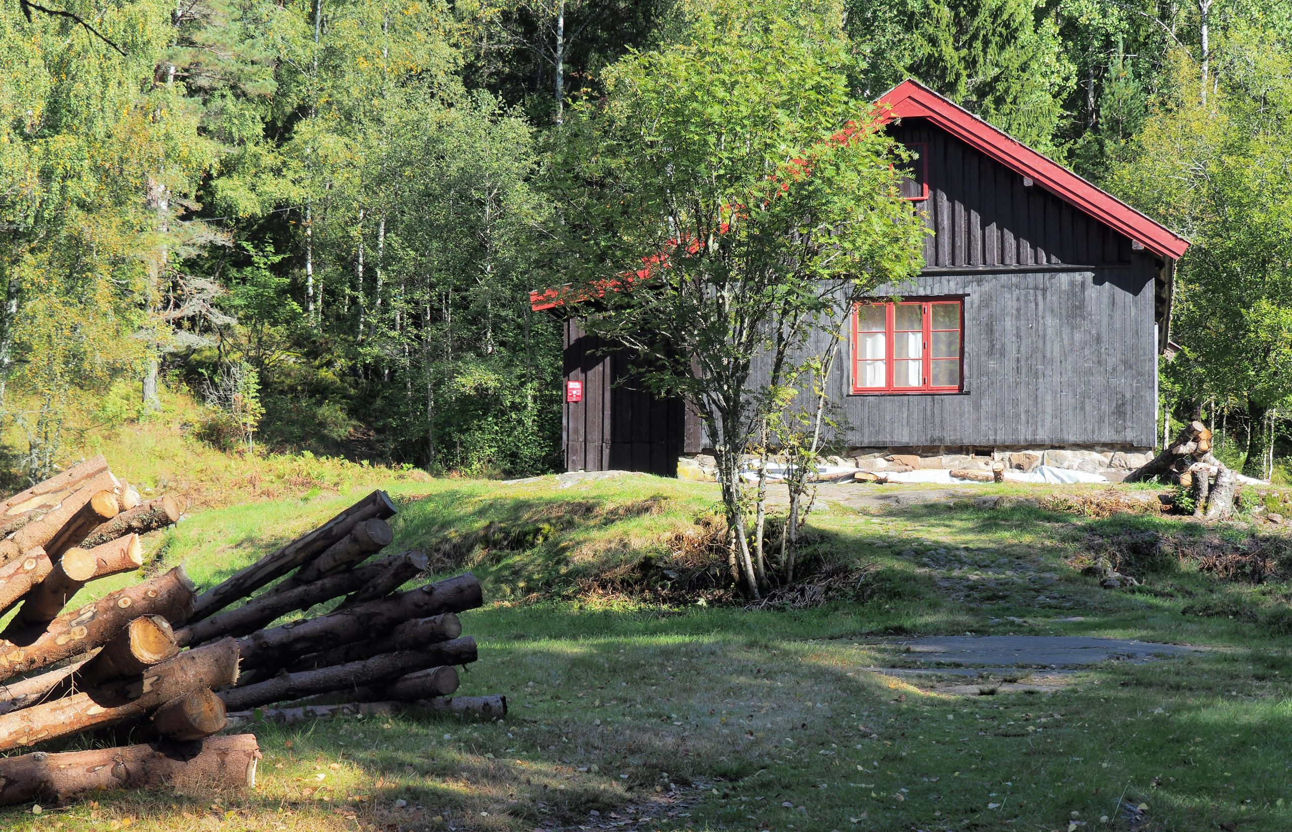 Før Enebakk-ungdommene begynte å rydde i området, vokste det et svært bringebærkratt og mye brennesle til venstre for stien opp mot Bysetra. Nå er området åpent og innbydende – sm resten av innmarka.. Foto: Bjarne Røsjø.