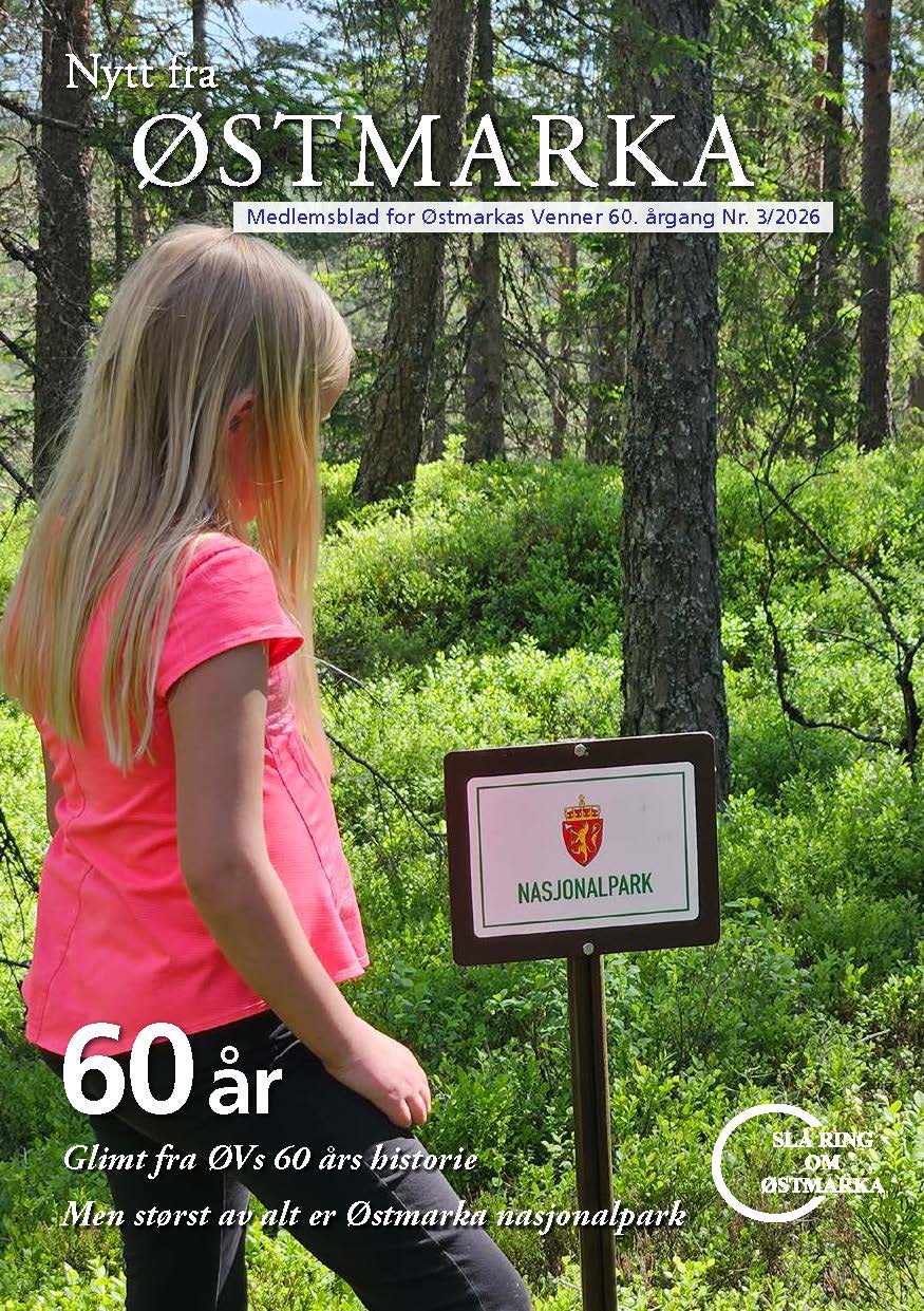 NFO2026-3.pdf